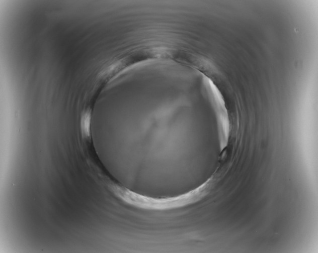 X0000086050047200704091217