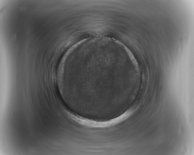 X0000086050048200704091217