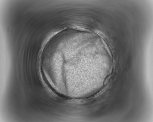 X0000086050049200704091217