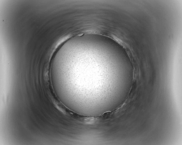 X0000086050050200704091217