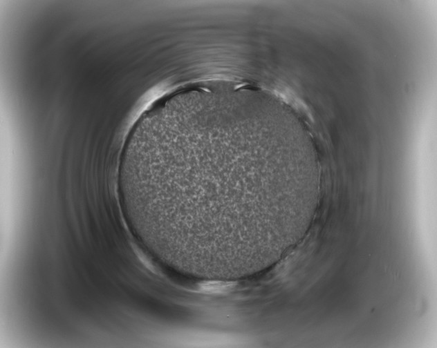 X0000086050051200704091217