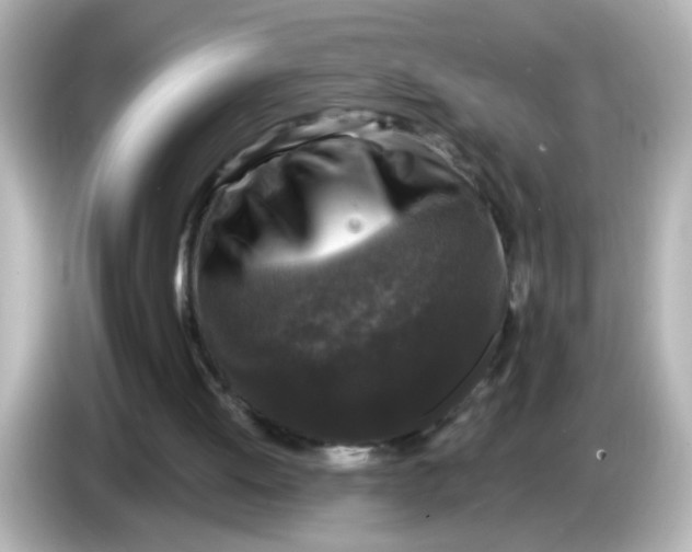 X0000086050052200704091217
