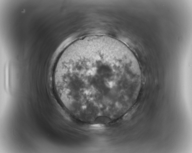 X0000086050053200704091217