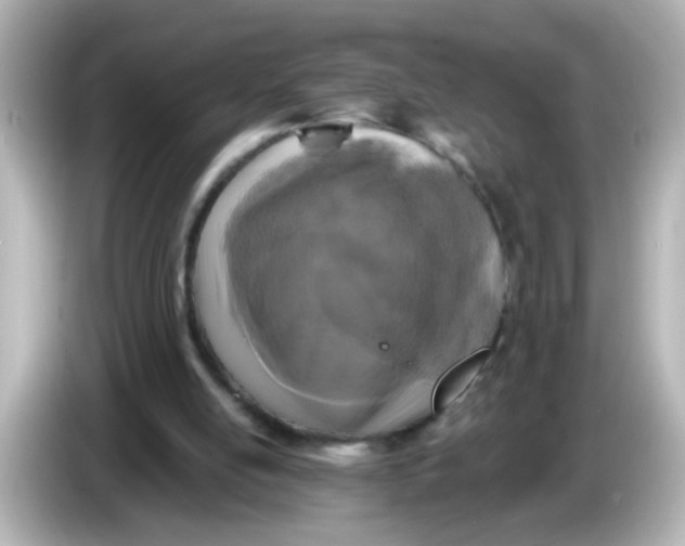 X0000086050054200704091217