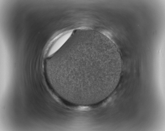 X0000086050055200704091217