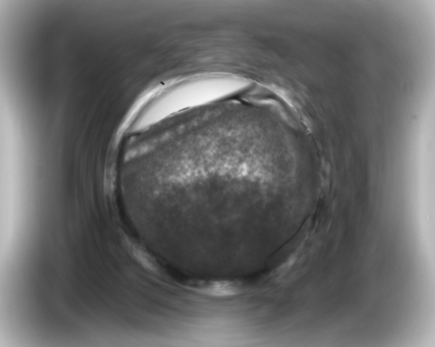 X0000086050056200704091217