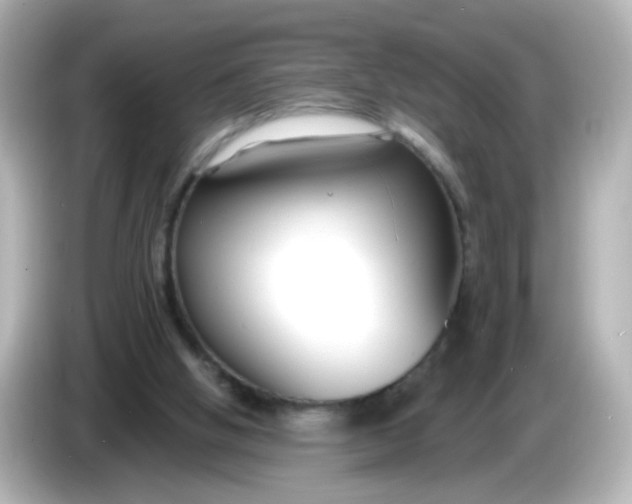 X0000086050058200704091217