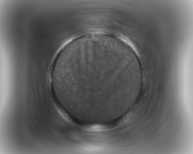 X0000086050059200704091217