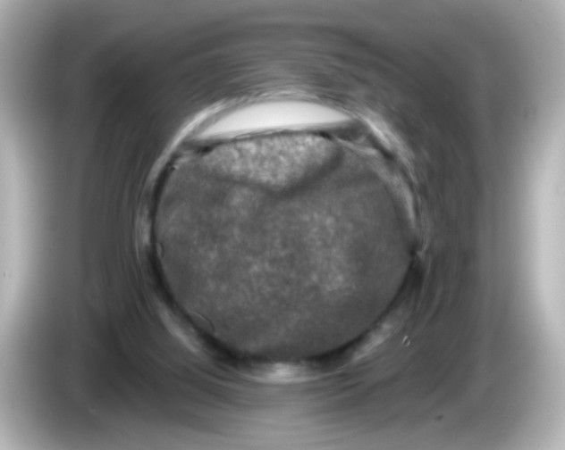 X0000086050060200704091217