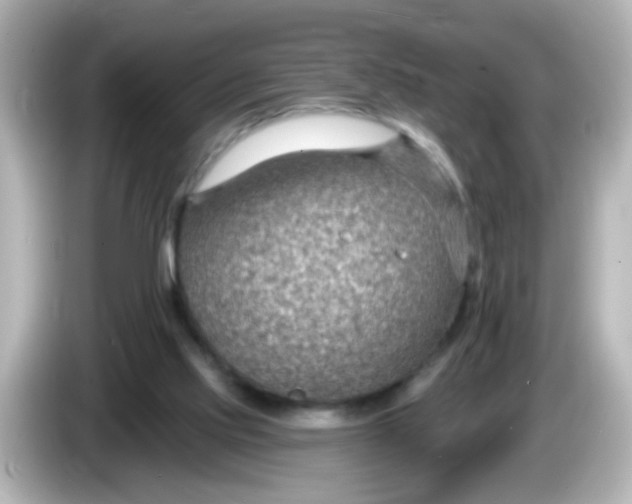 X0000086050061200704091217