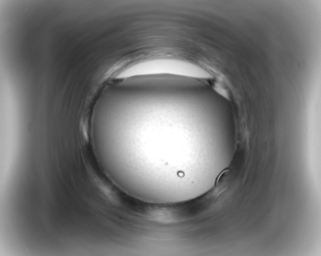X0000086050062200704091217
