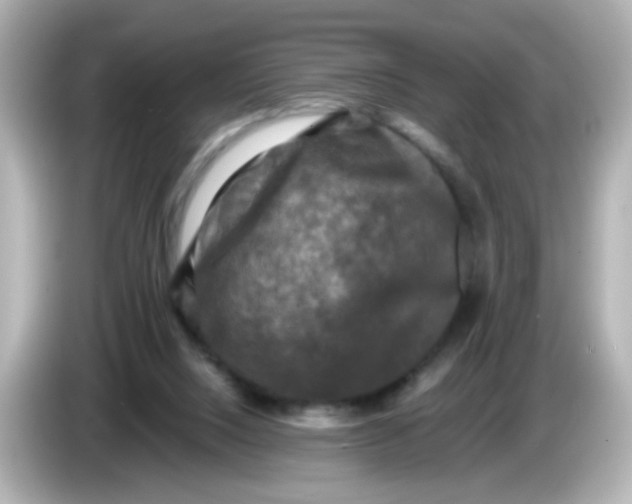 X0000086050064200704091217