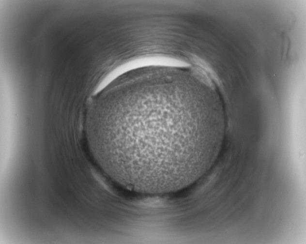 X0000086050065200704091217