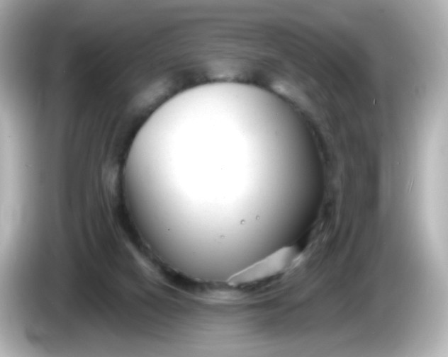 X0000086050066200704091217
