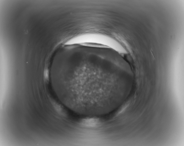 X0000086050067200704091217