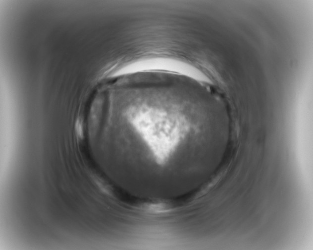 X0000086050068200704091217