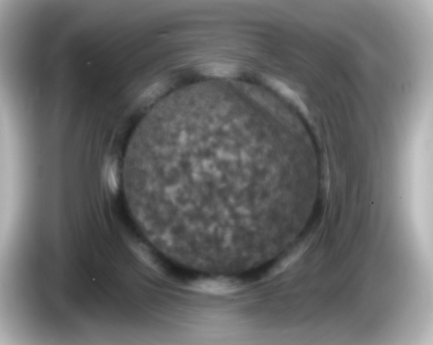 X0000086050069200704091217