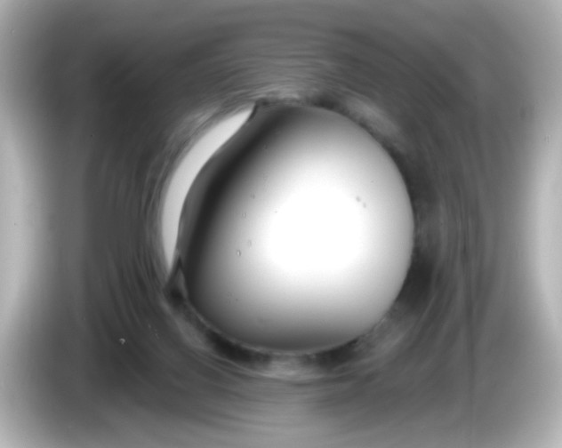 X0000086050070200704091217