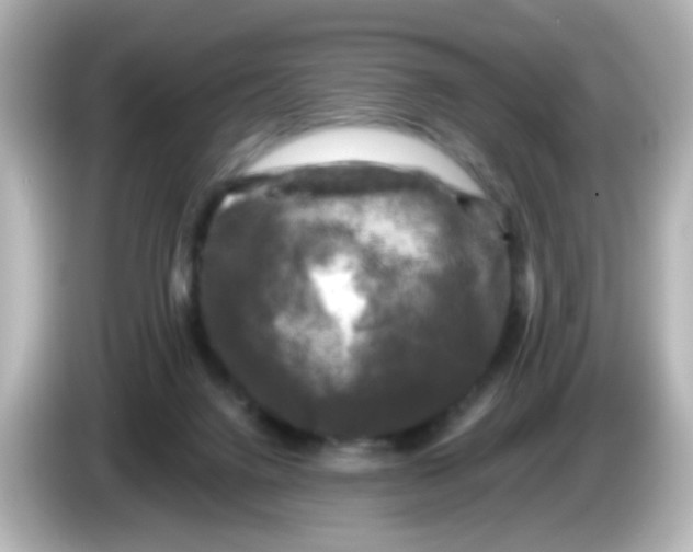 X0000086050072200704091217