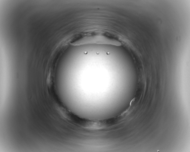 X0000086050074200704091217