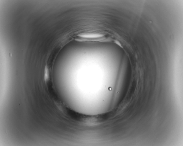 X0000086050075200704091217