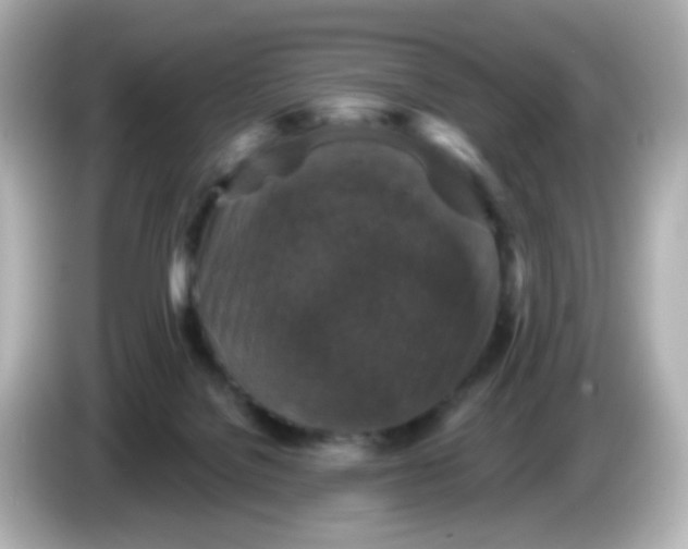 X0000086050076200704091217