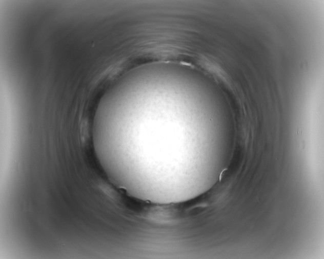 X0000086050077200704091217