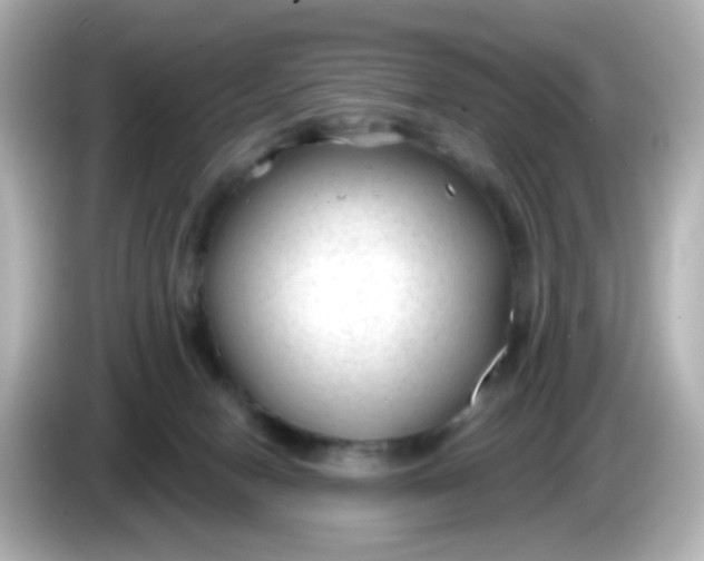 X0000086050078200704091217
