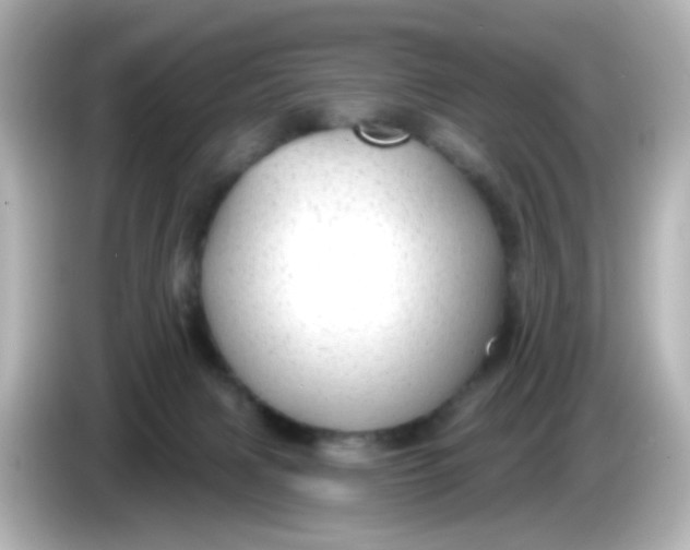 X0000086050079200704091217