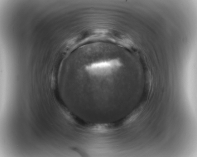 X0000086050080200704091217