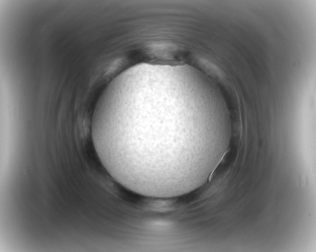 X0000086050081200704091217