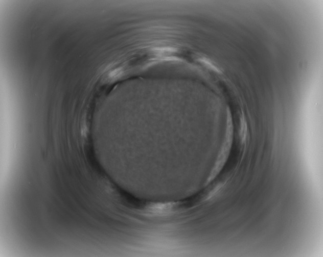 X0000086050084200704091217