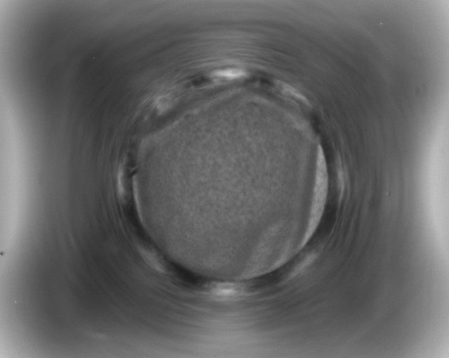 X0000086050088200704091217