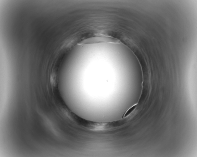 X0000086050090200704091217