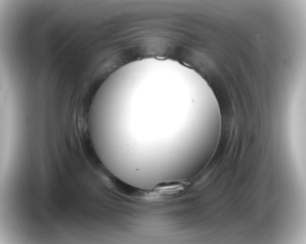 X0000086050091200704091217
