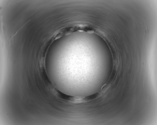 X0000086050093200704091217
