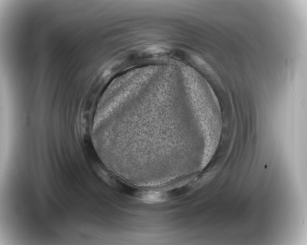 X0000086050096200704091217
