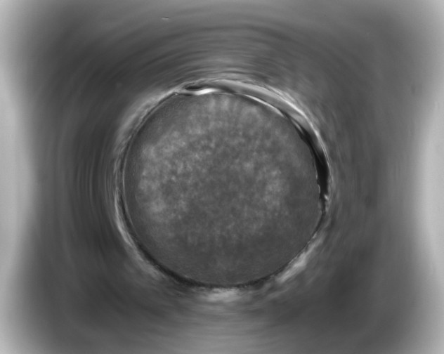X0000086050097200704091217