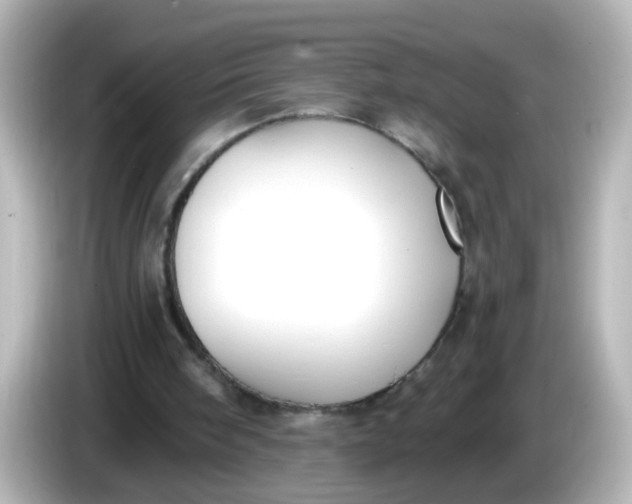X0000086050098200704091217