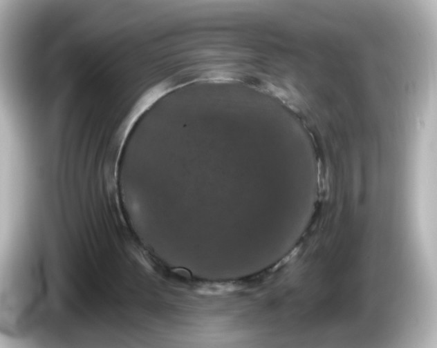 X0000086050099200704091217