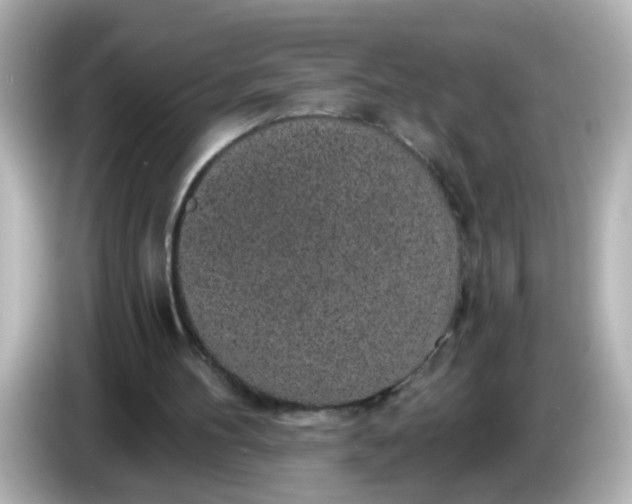 X0000086050100200704091217