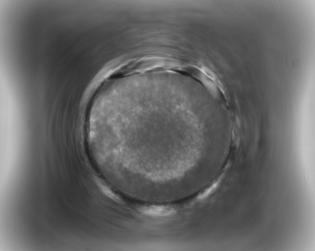 X0000086050101200704091217