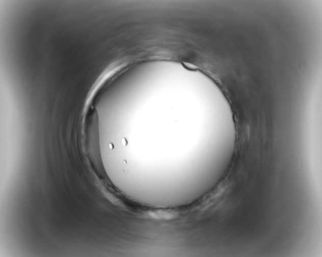 X0000086050102200704091217