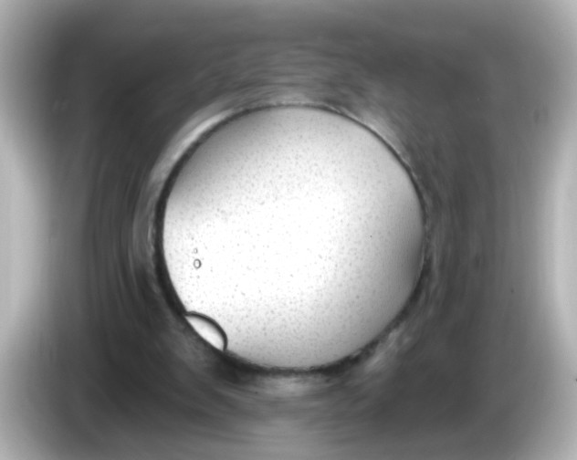 X0000086050103200704091217