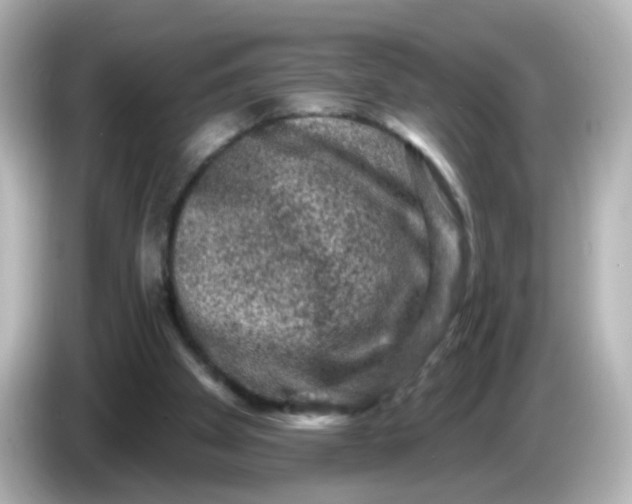 X0000086050105200704091217