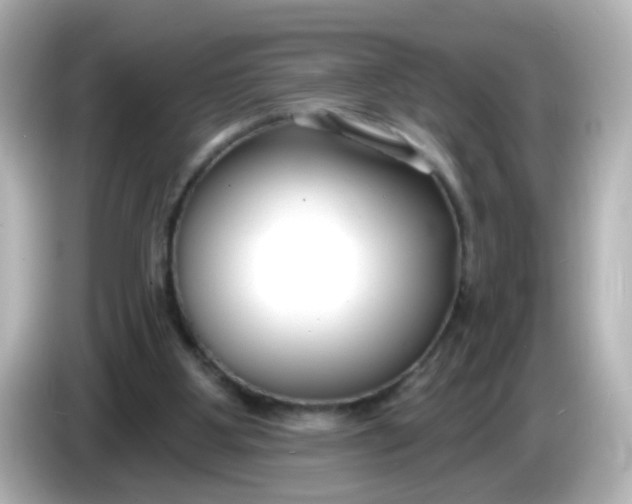 X0000086050107200704091217