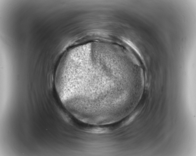 X0000086050109200704091217