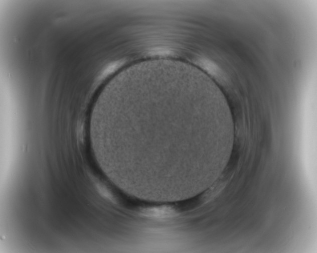 X0000086050112200704091217