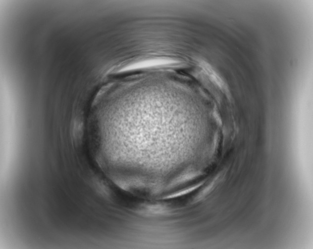 X0000086050113200704091216