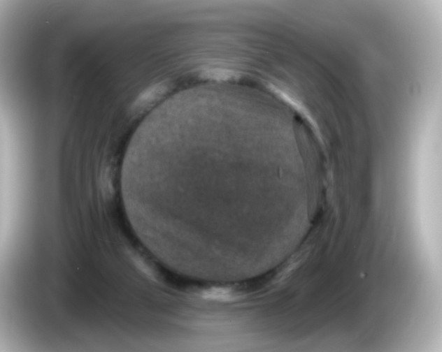 X0000086050114200704091216
